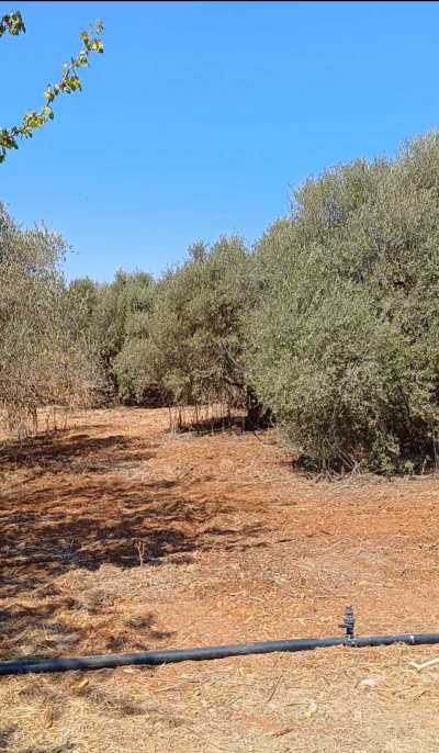 Residential Land For Sale in 