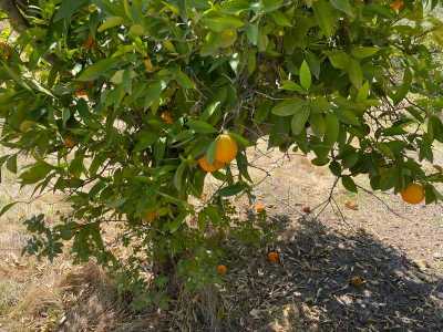 Residential Land For Sale in 