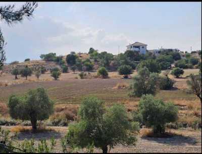 Residential Land For Sale in 