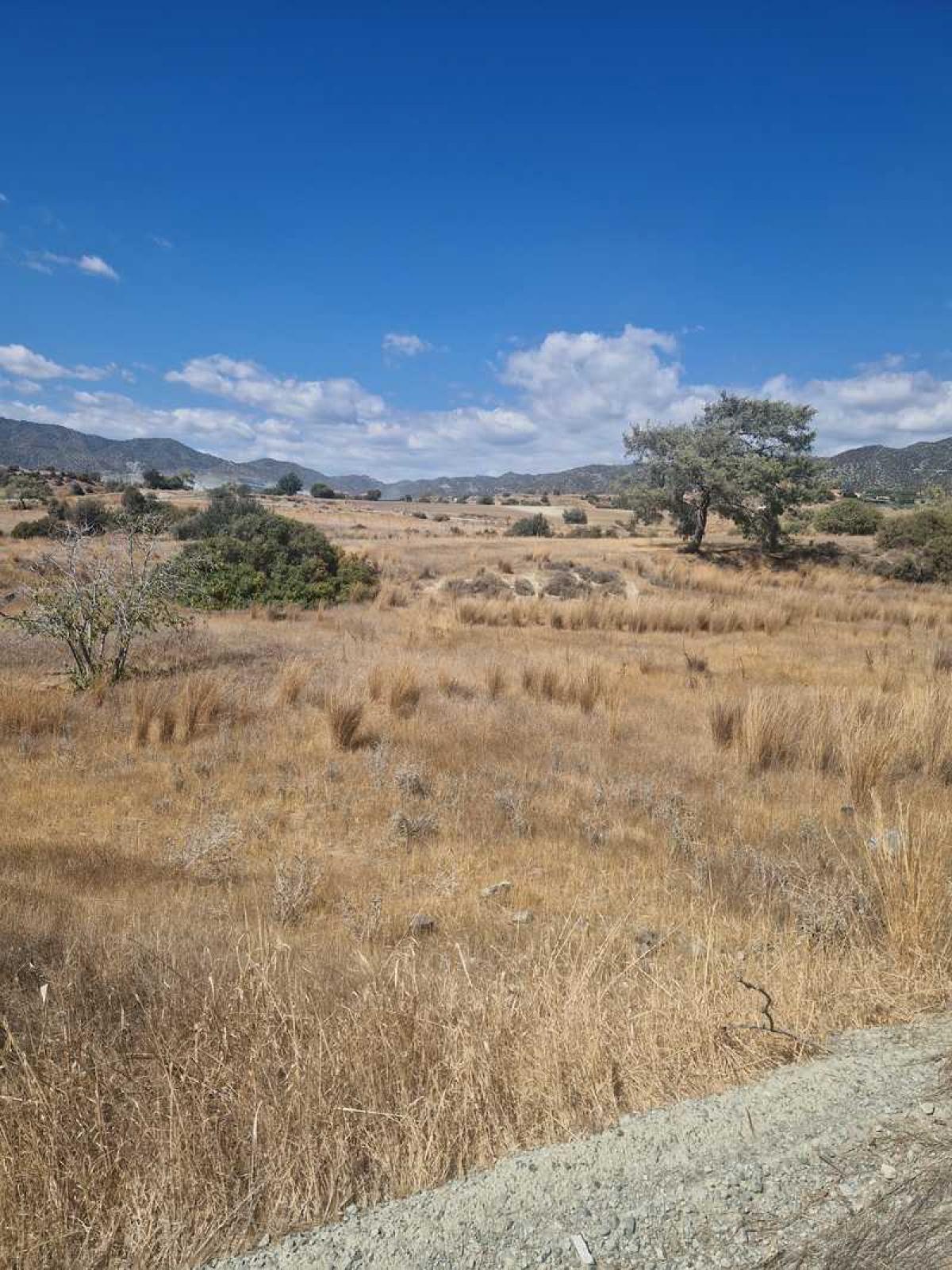 Picture of Residential Land For Sale in Pyrgos Lemesou, Limassol, Cyprus