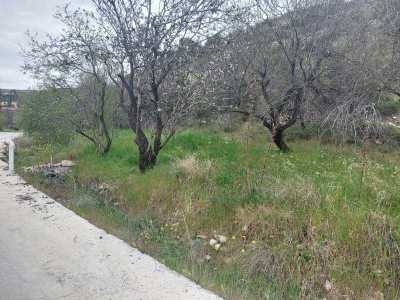 Residential Land For Sale in