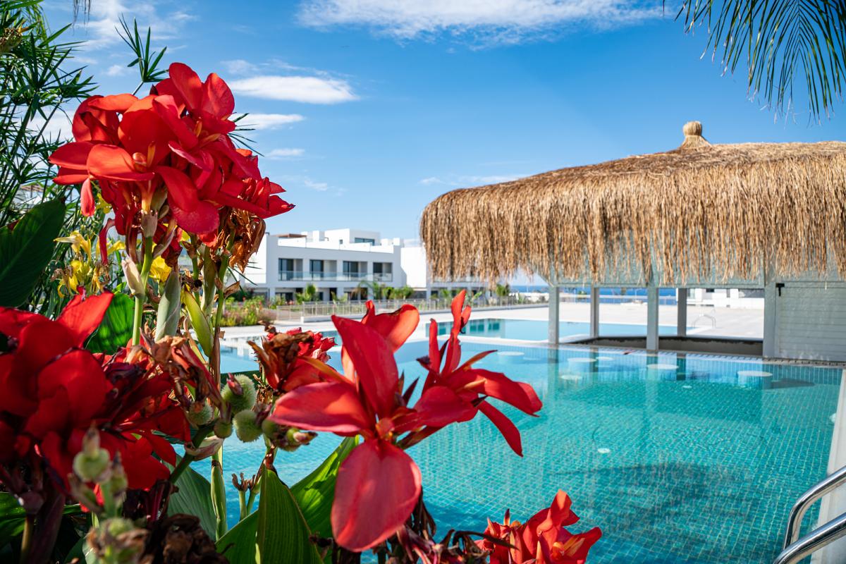 Picture of Apartment For Sale in Girne, Girne, Northern Cyprus