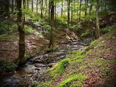 Residential Land For Sale in Walling, Tennessee