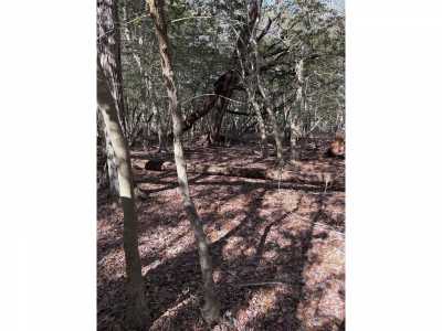 Residential Land For Sale in Port Norris, New Jersey