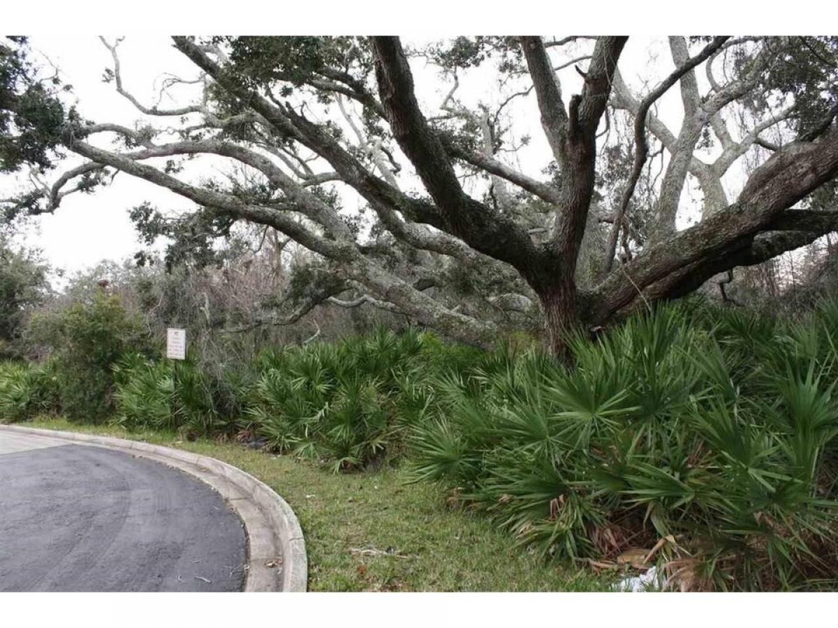 Picture of Residential Land For Sale in Saint Augustine, Florida, United States
