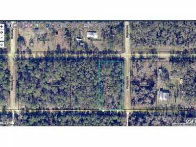 Residential Land For Sale in Hastings, Florida