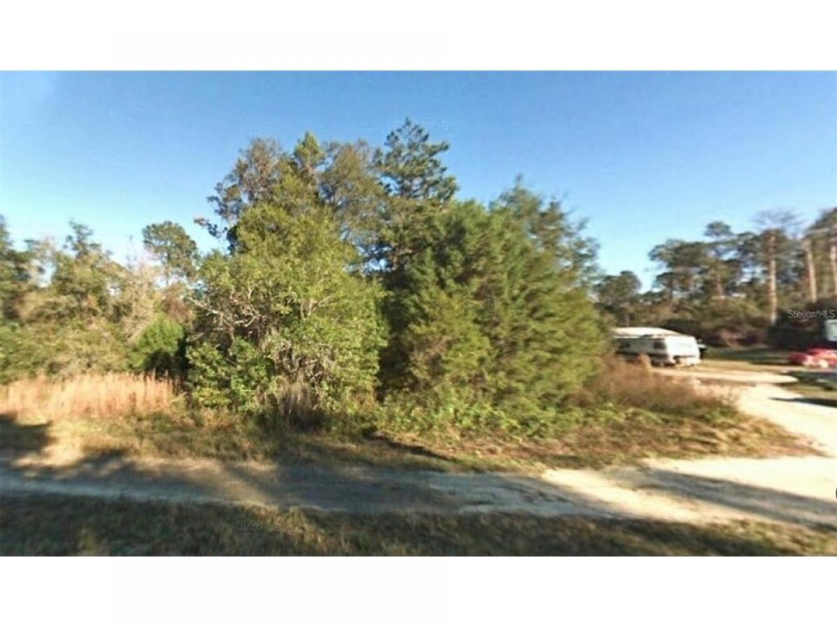 Picture of Residential Land For Rent in Fort Mc Coy, Florida, United States