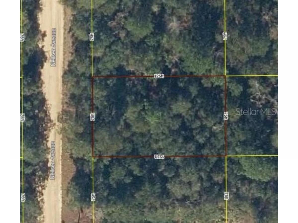 Picture of Residential Land For Rent in Interlachen, Florida, United States