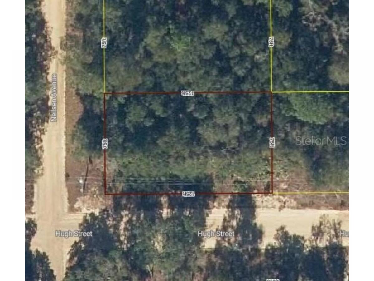 Picture of Residential Land For Rent in Interlachen, Florida, United States