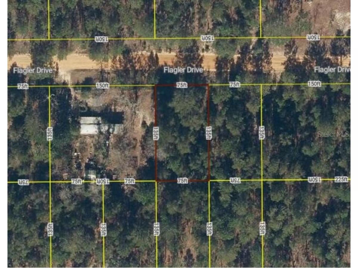 Picture of Residential Land For Rent in Interlachen, Florida, United States