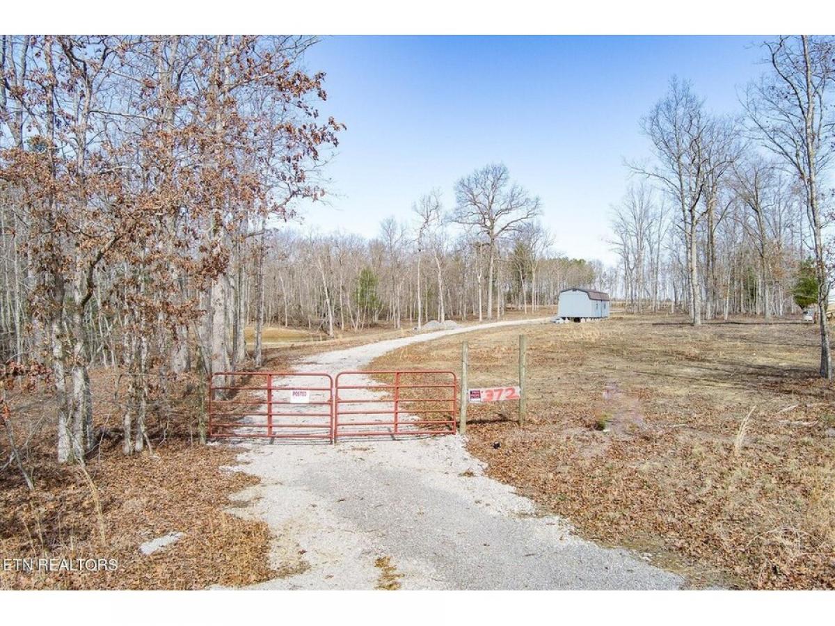 Picture of Residential Land For Sale in Deer Lodge, Tennessee, United States
