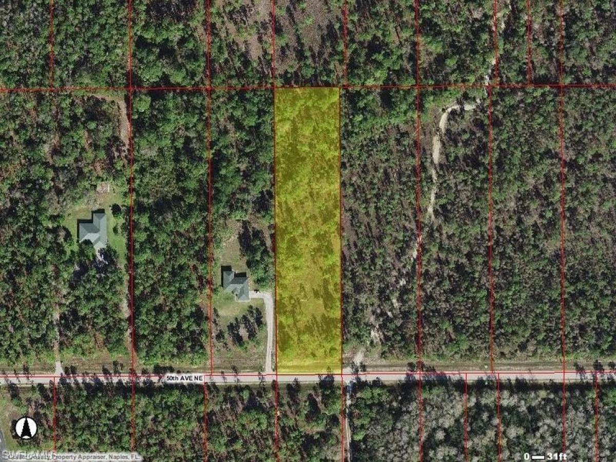 Picture of Residential Land For Sale in Naples, Florida, United States