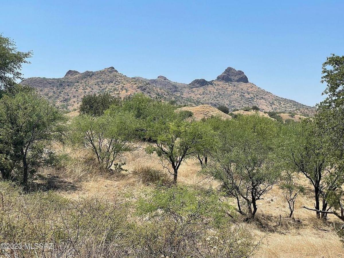 Picture of Residential Land For Sale in Tubac, Arizona, United States