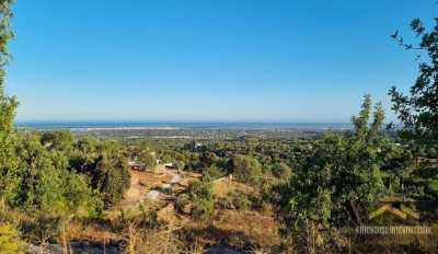 Residential Land For Sale in 