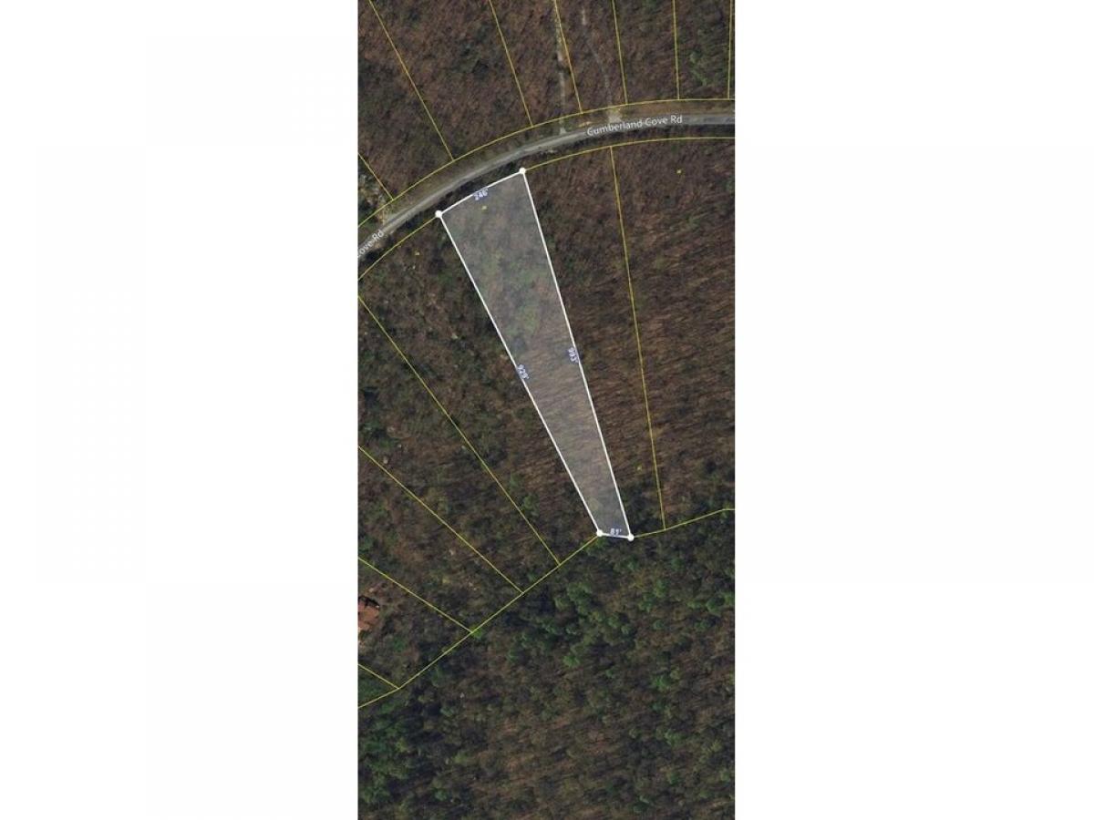 Picture of Residential Land For Sale in Monterey, Tennessee, United States