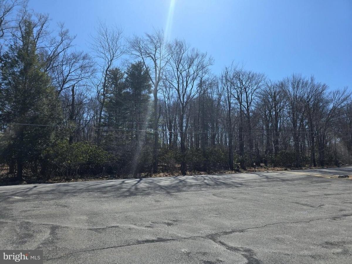 Picture of Residential Land For Sale in Pocono Summit, Pennsylvania, United States