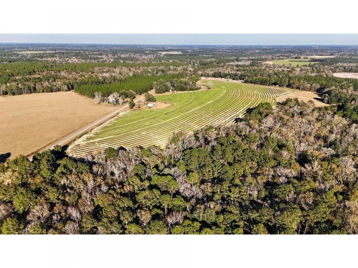 Picture of Residential Land For Sale in Whigham, Georgia, United States