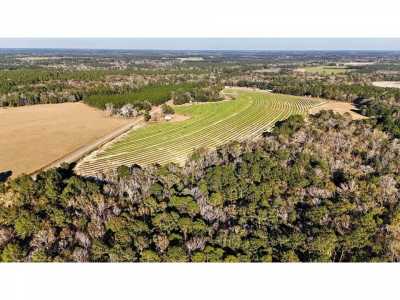 Residential Land For Sale in Whigham, Georgia