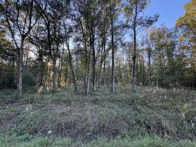 Residential Land For Sale in Hastings, Florida