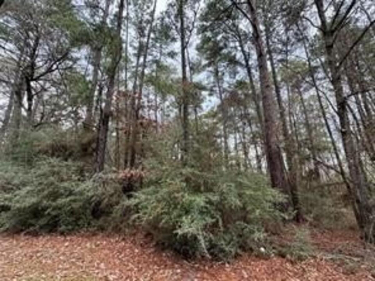 Picture of Residential Land For Rent in Trinity, Texas, United States