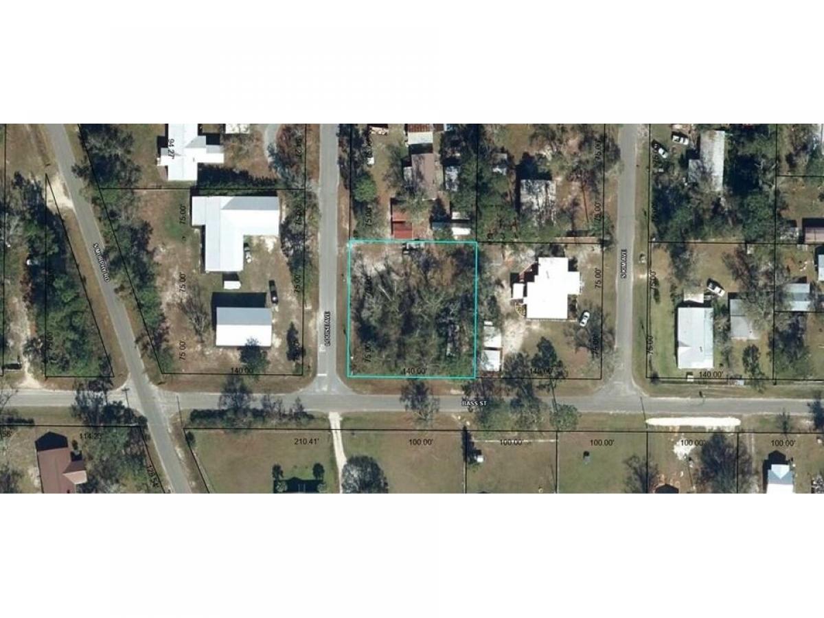Picture of Residential Land For Sale in Wewahitchka, Florida, United States