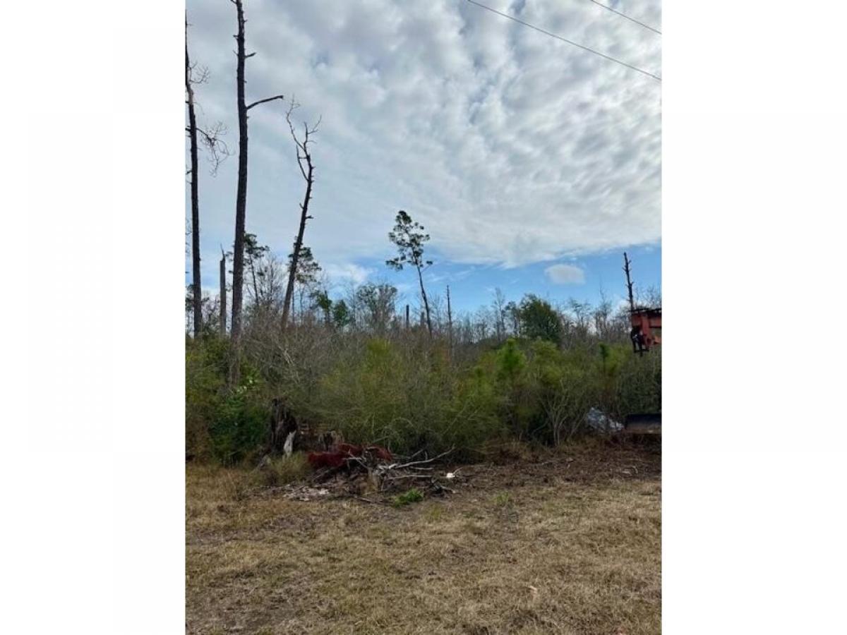Picture of Residential Land For Rent in Kinard, Florida, United States