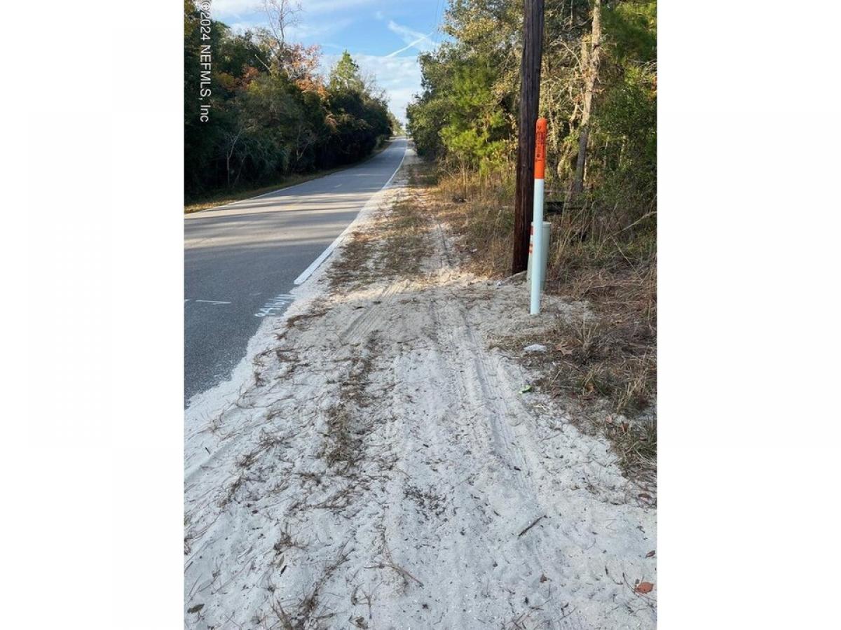 Picture of Residential Land For Sale in Pomona Park, Florida, United States