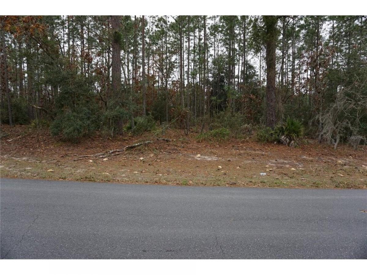 Picture of Residential Land For Sale in Ocala, Florida, United States