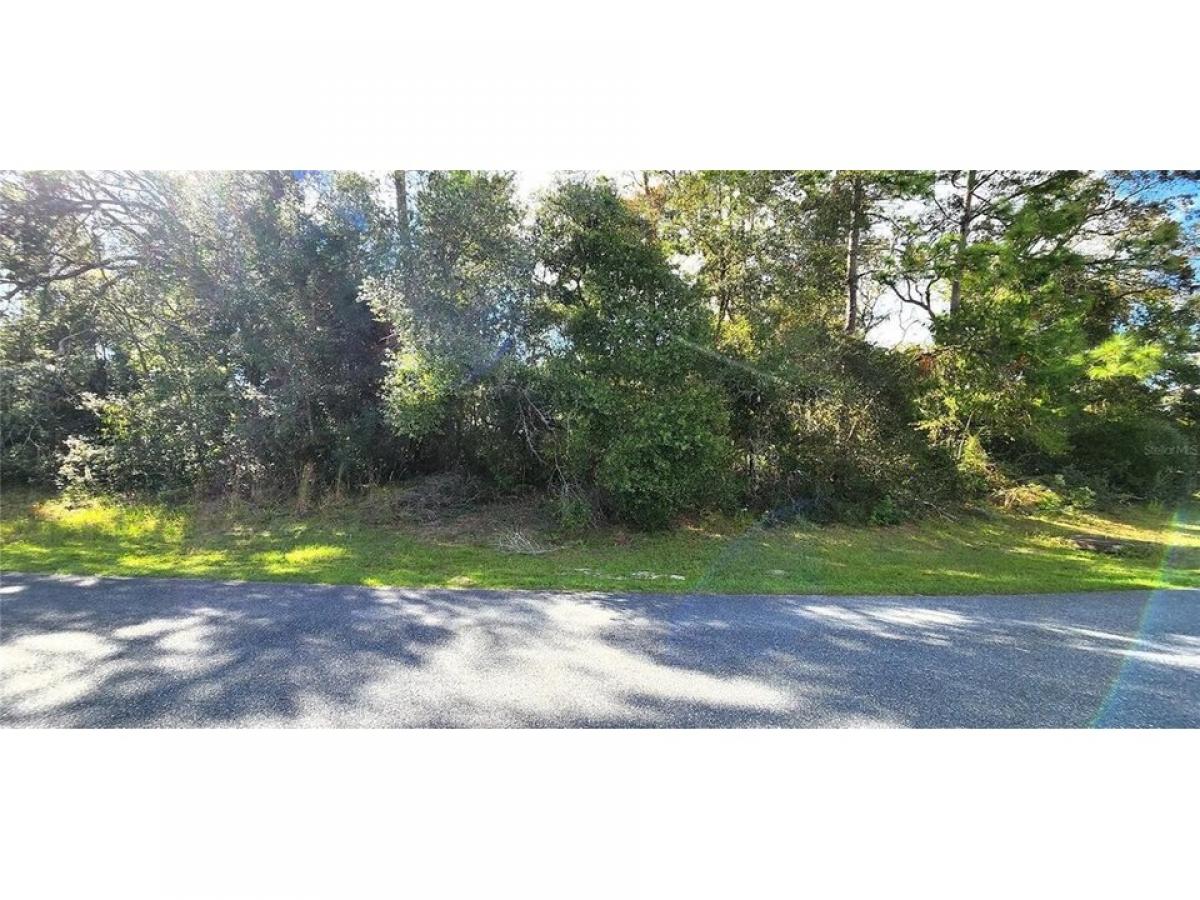 Picture of Residential Land For Sale in Ocala, Florida, United States