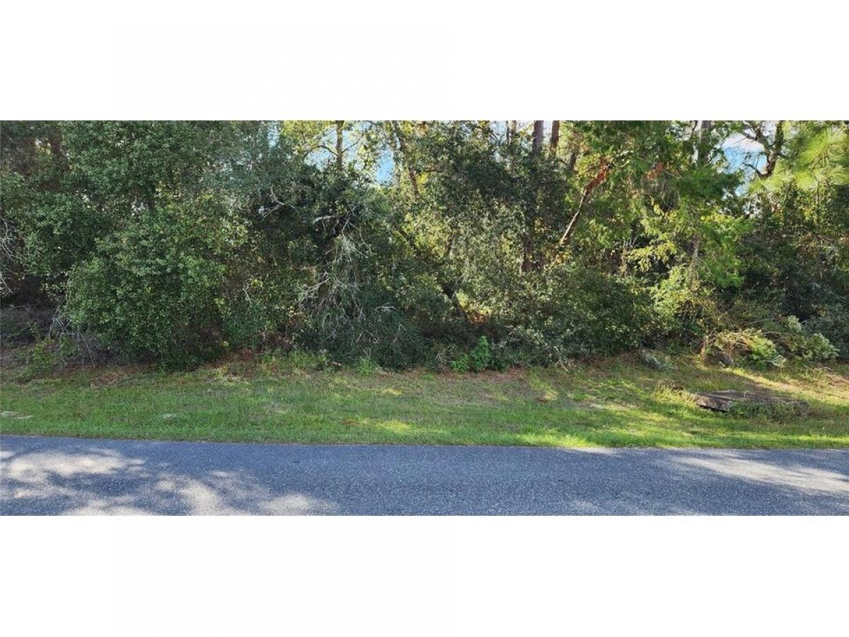 Picture of Residential Land For Sale in Ocala, Florida, United States