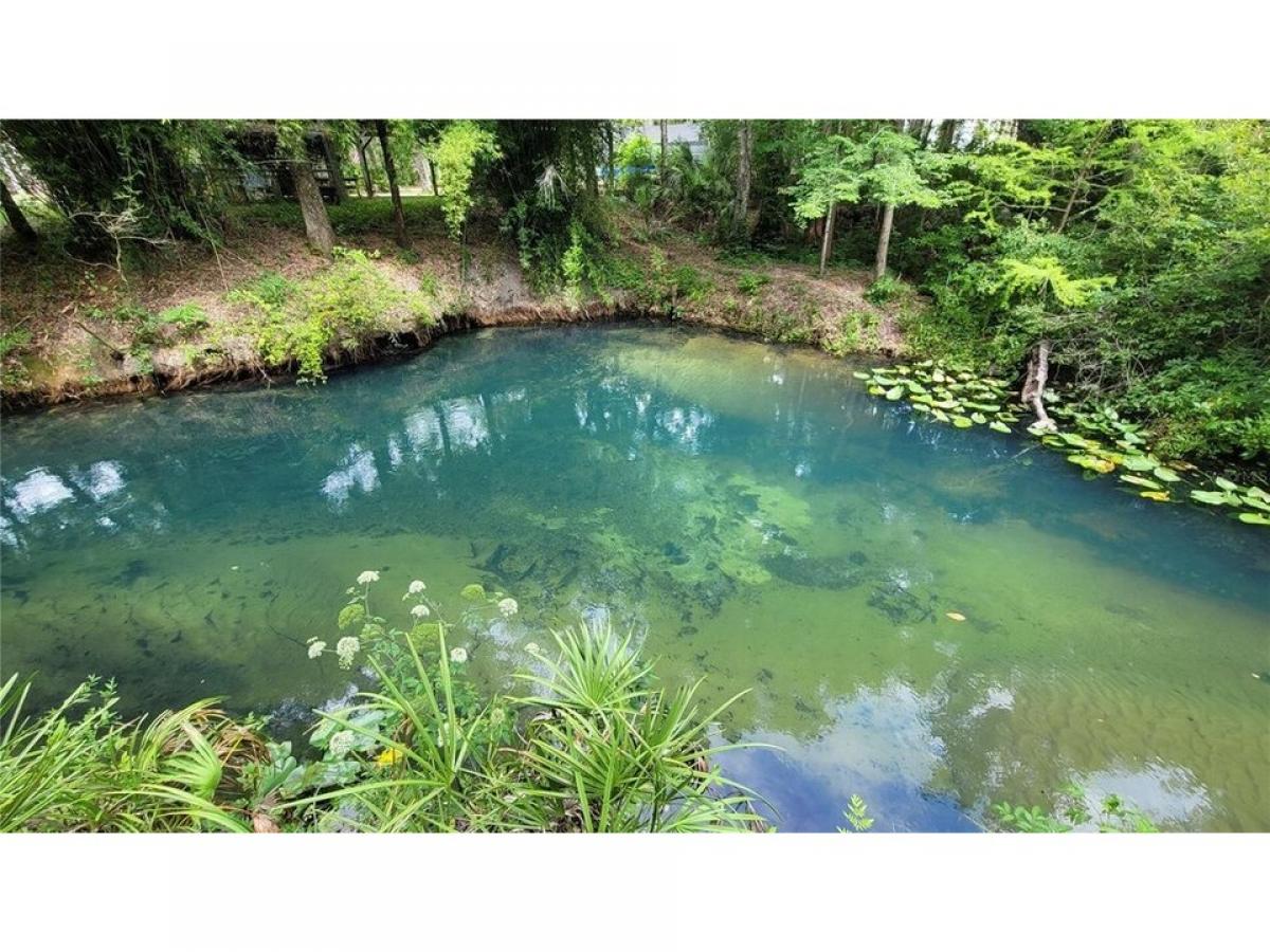 Picture of Home For Sale in Morriston, Florida, United States