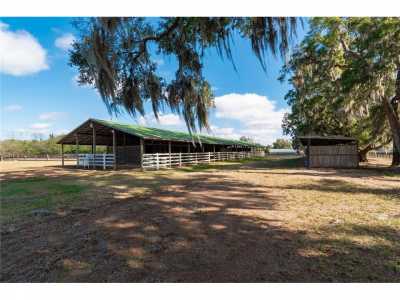 Residential Land For Sale in Citra, Florida