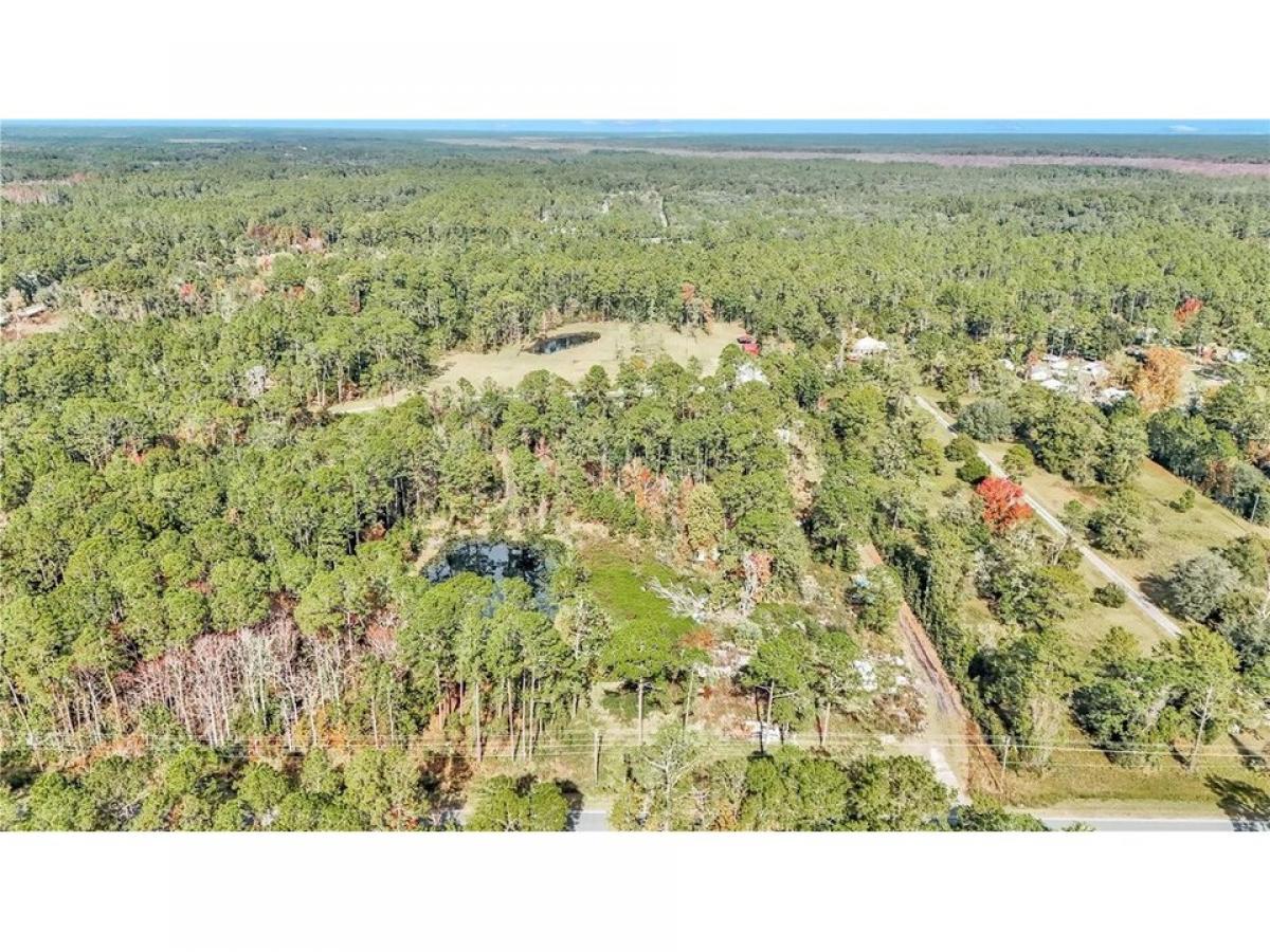 Picture of Residential Land For Sale in Fort Mc Coy, Florida, United States
