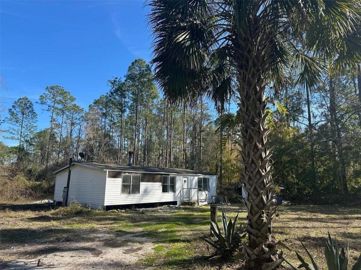 Picture of Home For Sale in Bunnell, Florida, United States