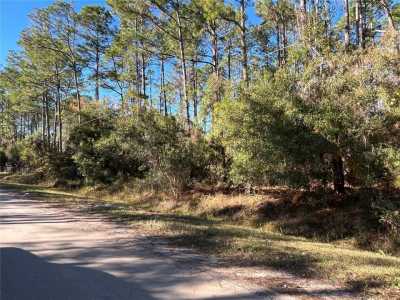 Residential Land For Sale in Bunnell, Florida