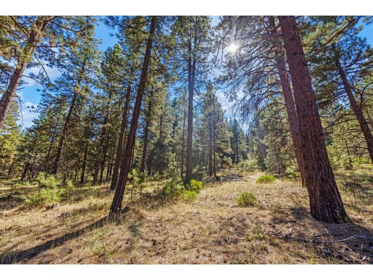 Picture of Residential Land For Sale in Klamath Falls, Oregon, United States