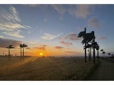 Residential Land For Sale in Hawi, Hawaii