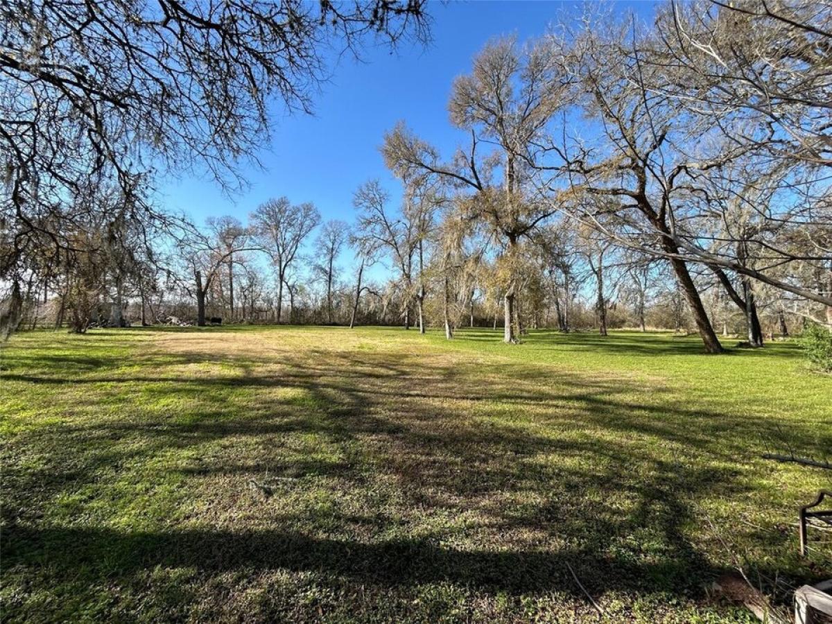 Picture of Residential Land For Sale in Simonton, Texas, United States
