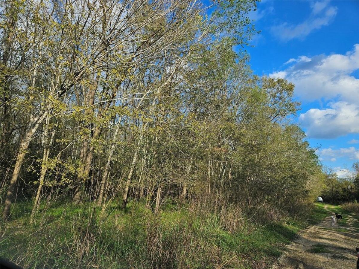 Picture of Residential Land For Rent in Coldspring, Texas, United States