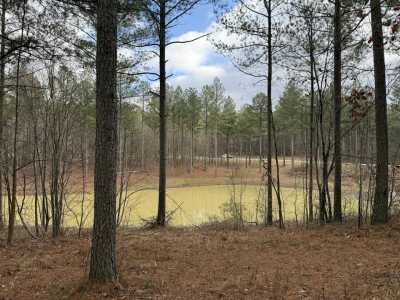 Residential Land For Sale in Guild, Tennessee