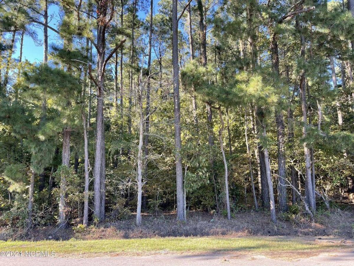 Picture of Residential Land For Rent in Hertford, North Carolina, United States