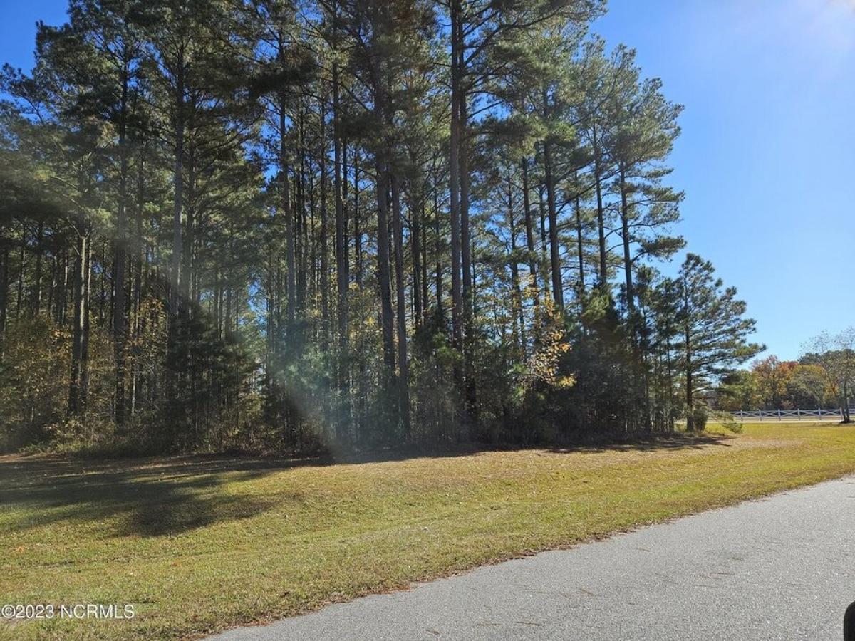 Picture of Residential Land For Sale in Hertford, North Carolina, United States