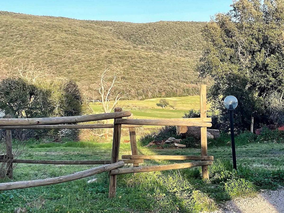 Picture of Residential Land For Sale in Massa Marittima, Tuscany, Italy