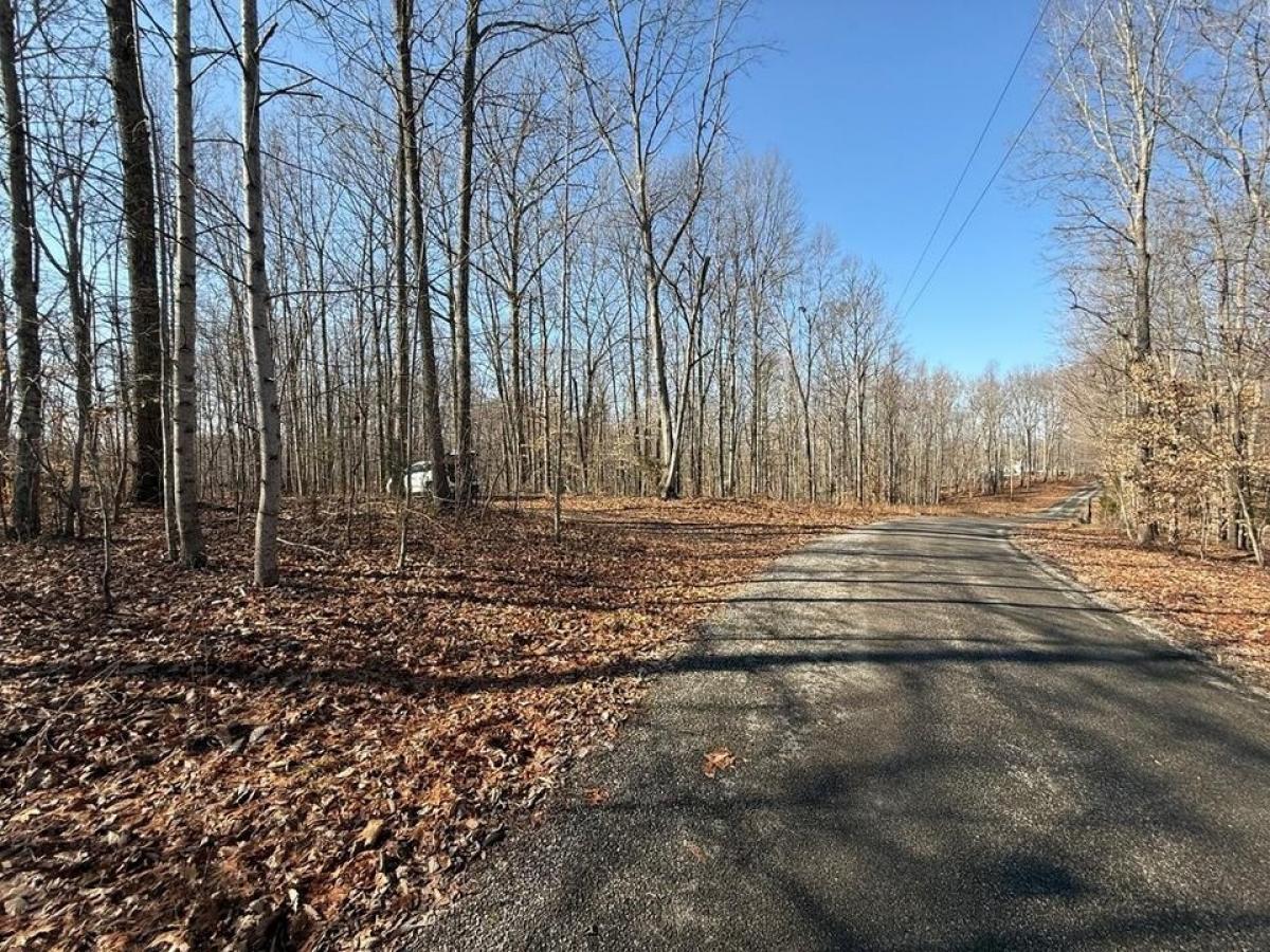 Picture of Residential Land For Sale in Hilham, Tennessee, United States