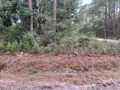 Residential Land For Sale in Panacea, Florida