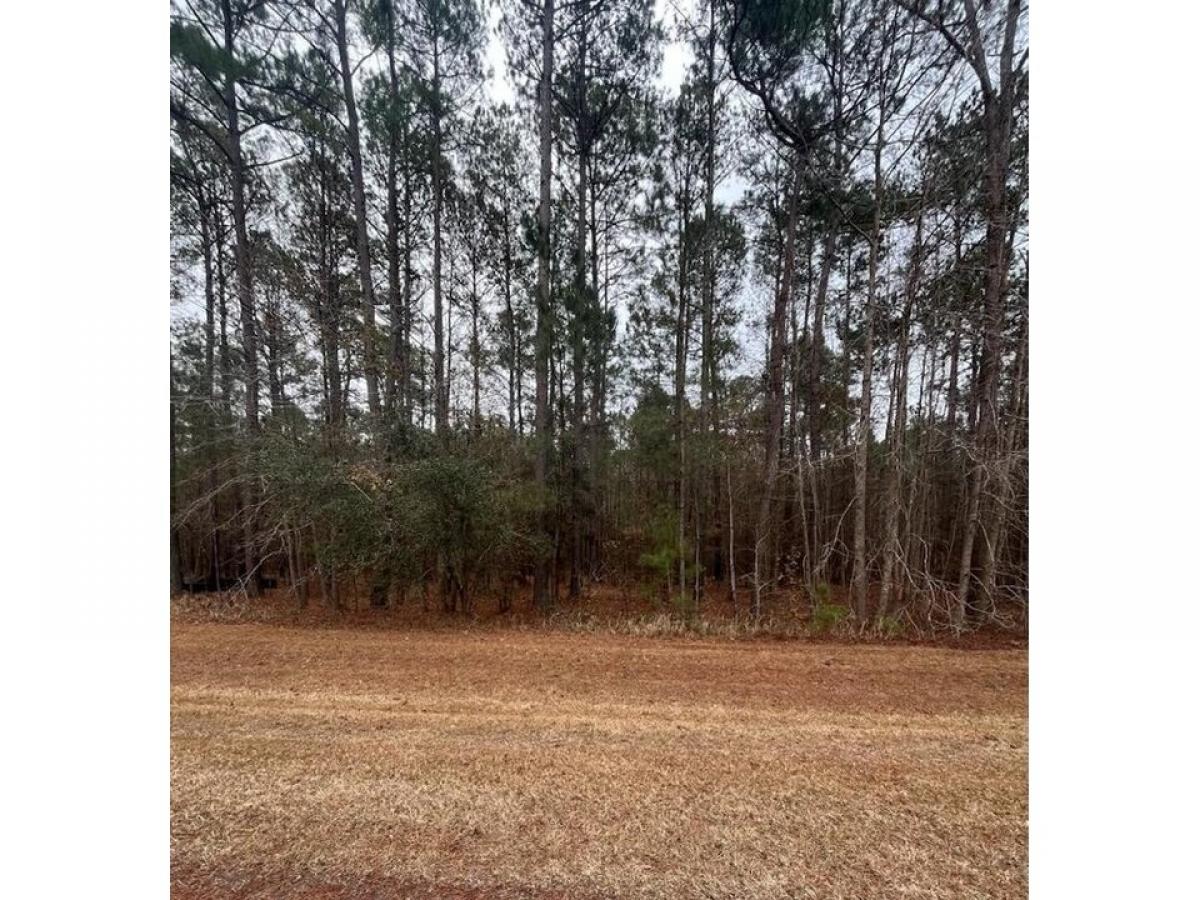 Picture of Residential Land For Sale in Tallahassee, Florida, United States