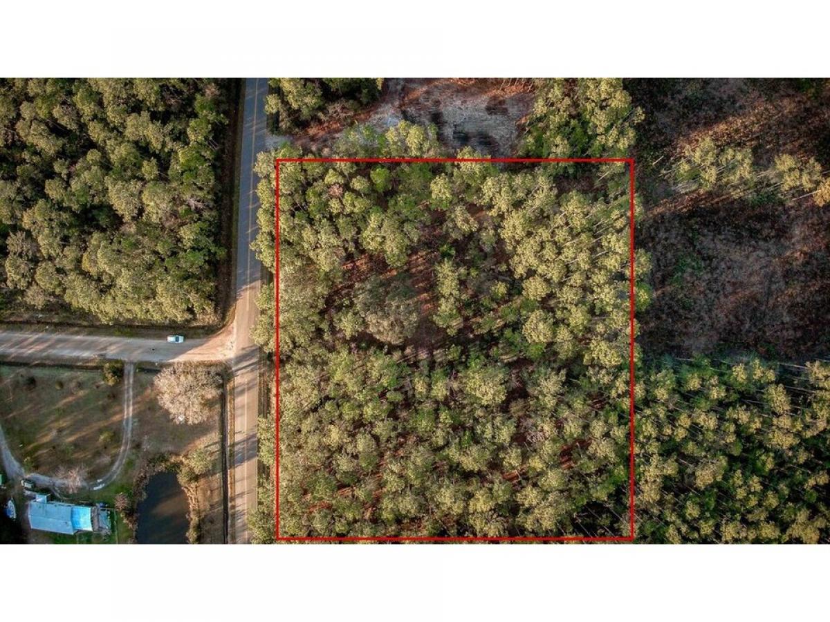 Picture of Residential Land For Sale in Hastings, Florida, United States
