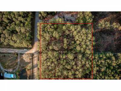 Residential Land For Sale in Hastings, Florida