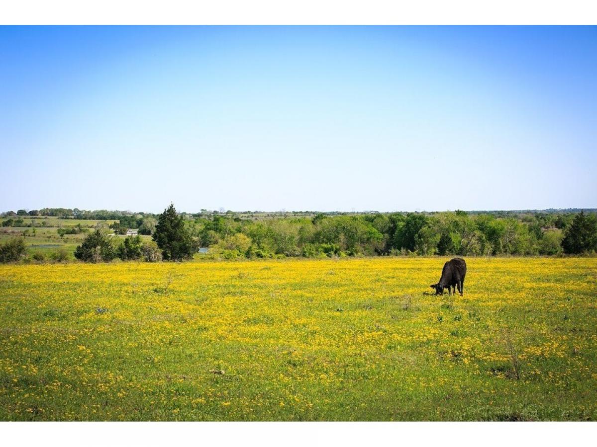 Picture of Residential Land For Sale in Chappell Hill, Texas, United States