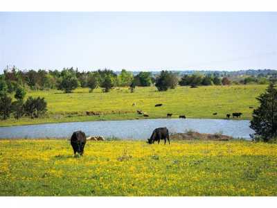 Residential Land For Sale in Chappell Hill, Texas